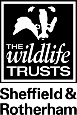 The Wildlife Trusts Sheffield and Rotherham Logo