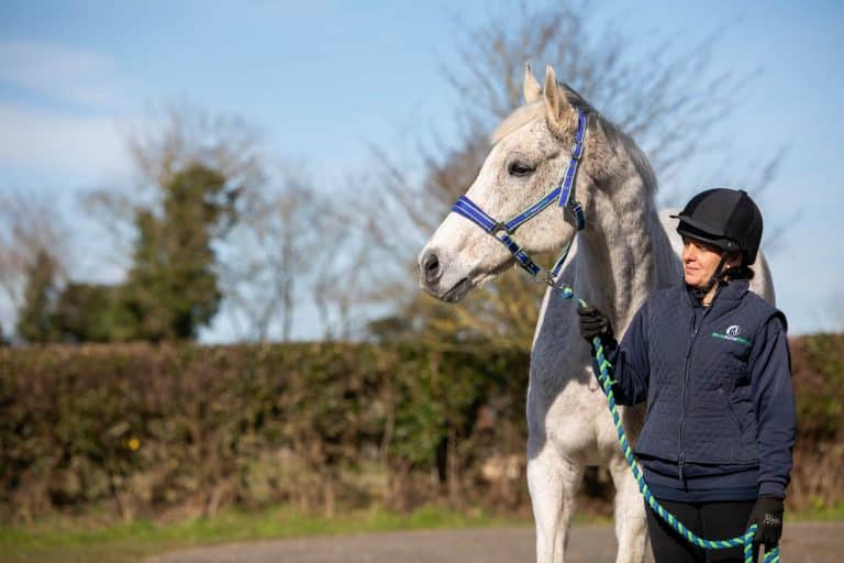 World Horse Welfare Benefact Group