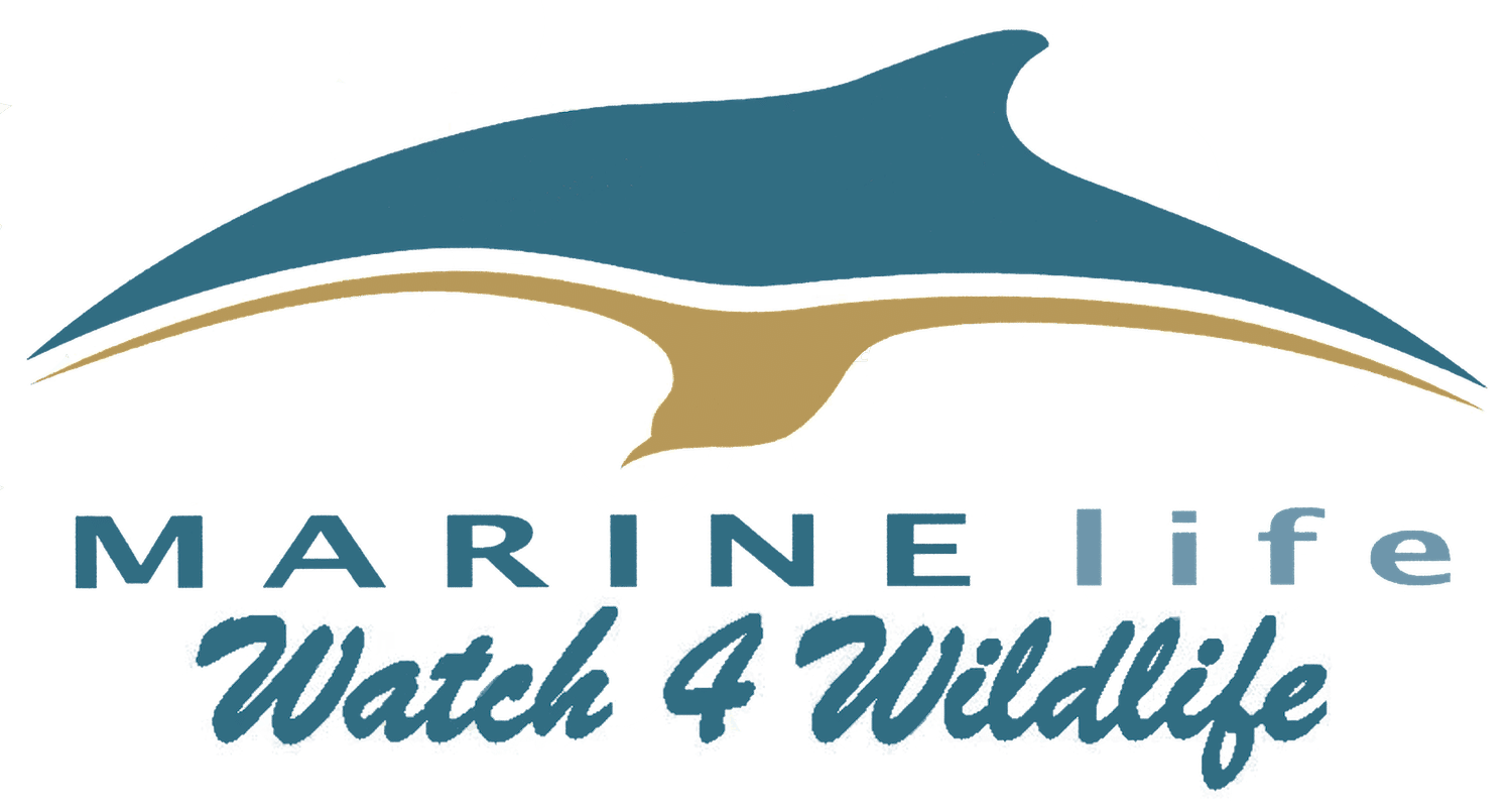 Marine Life Logo