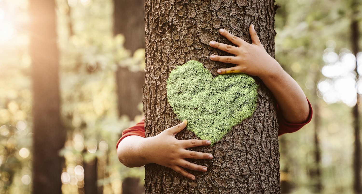 Child hugging a Tree