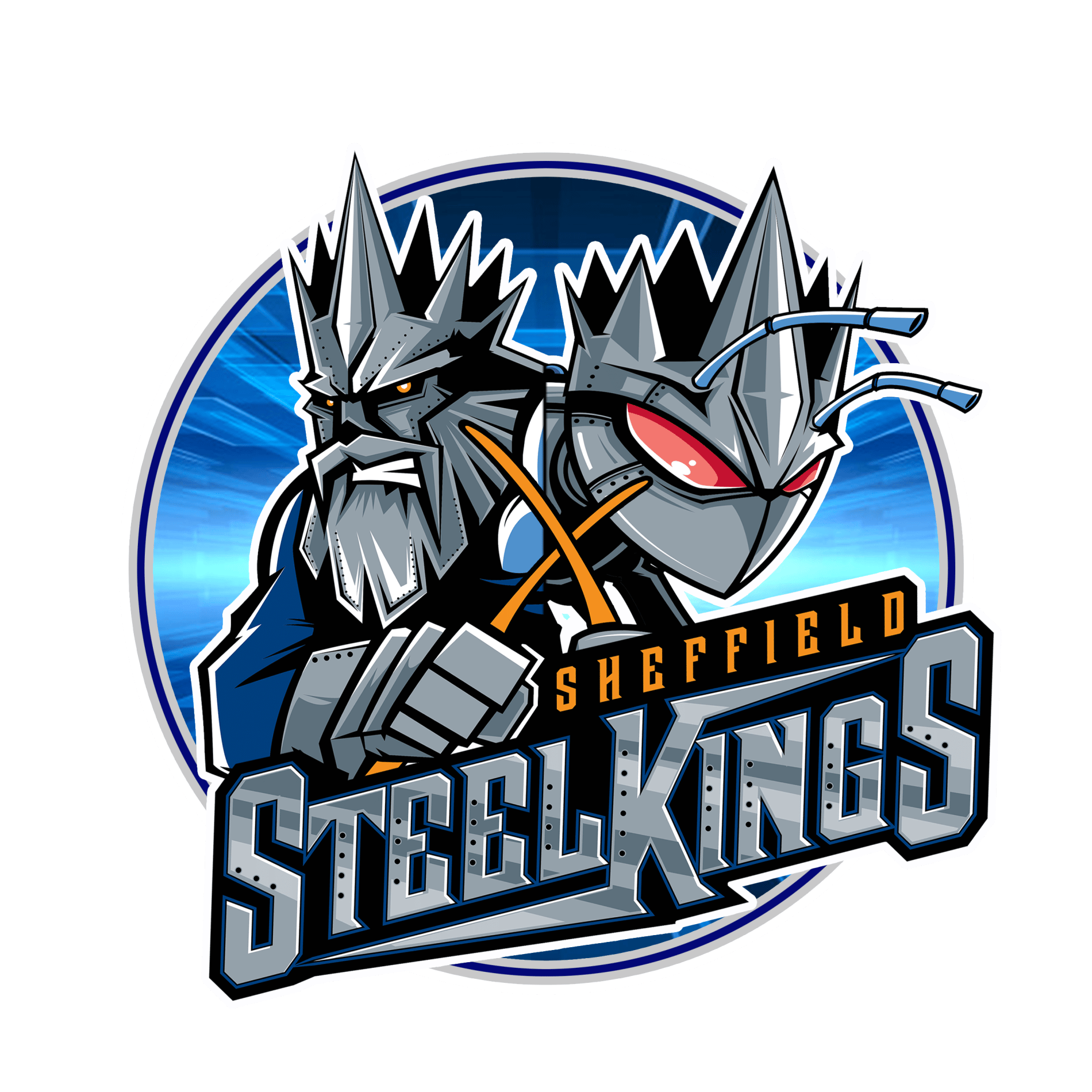 Sheffield Steelkings Para Ice Hockey Club Benefact Group