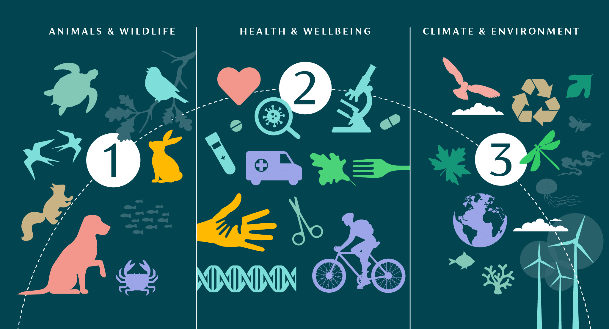 Depiction of each special draw illustrations of health, climate and animals