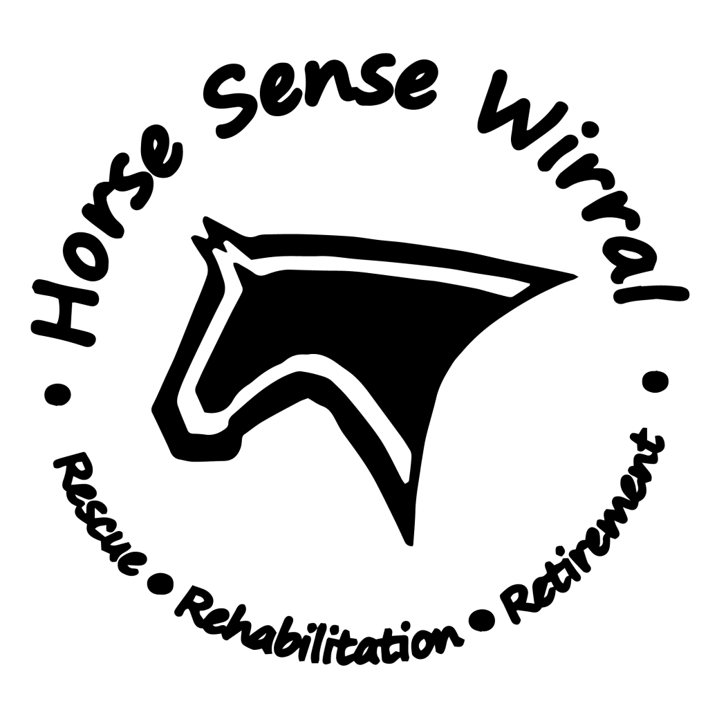 Horse Sense Wirral Benefact Group