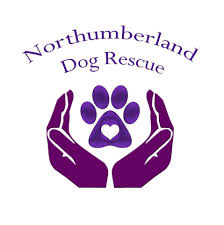 Northumberland Dog Rescue Logo