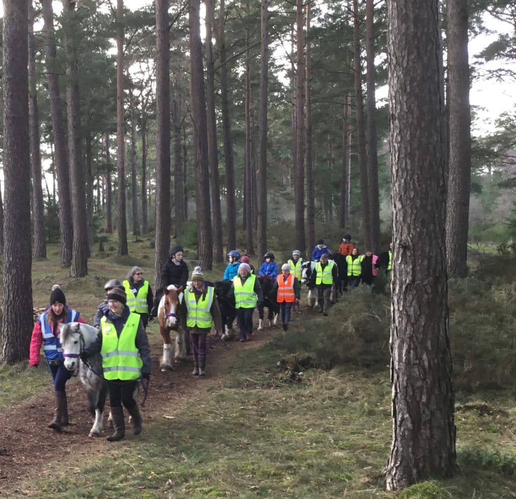 Group of people riding horses along a forest path