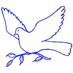 The Dove Center Logo