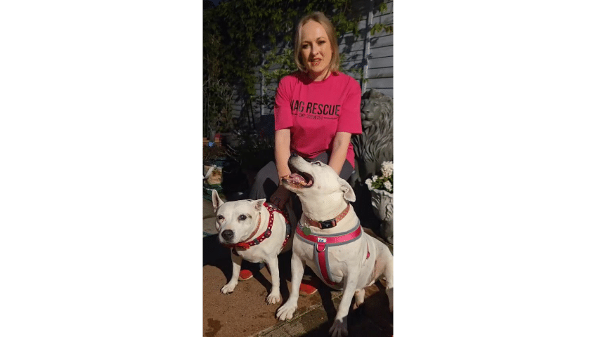 WAG Rescue video thumbnail
