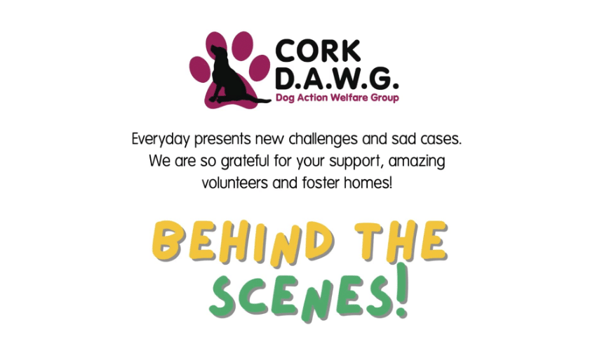 CORK DAWG video thumbnail