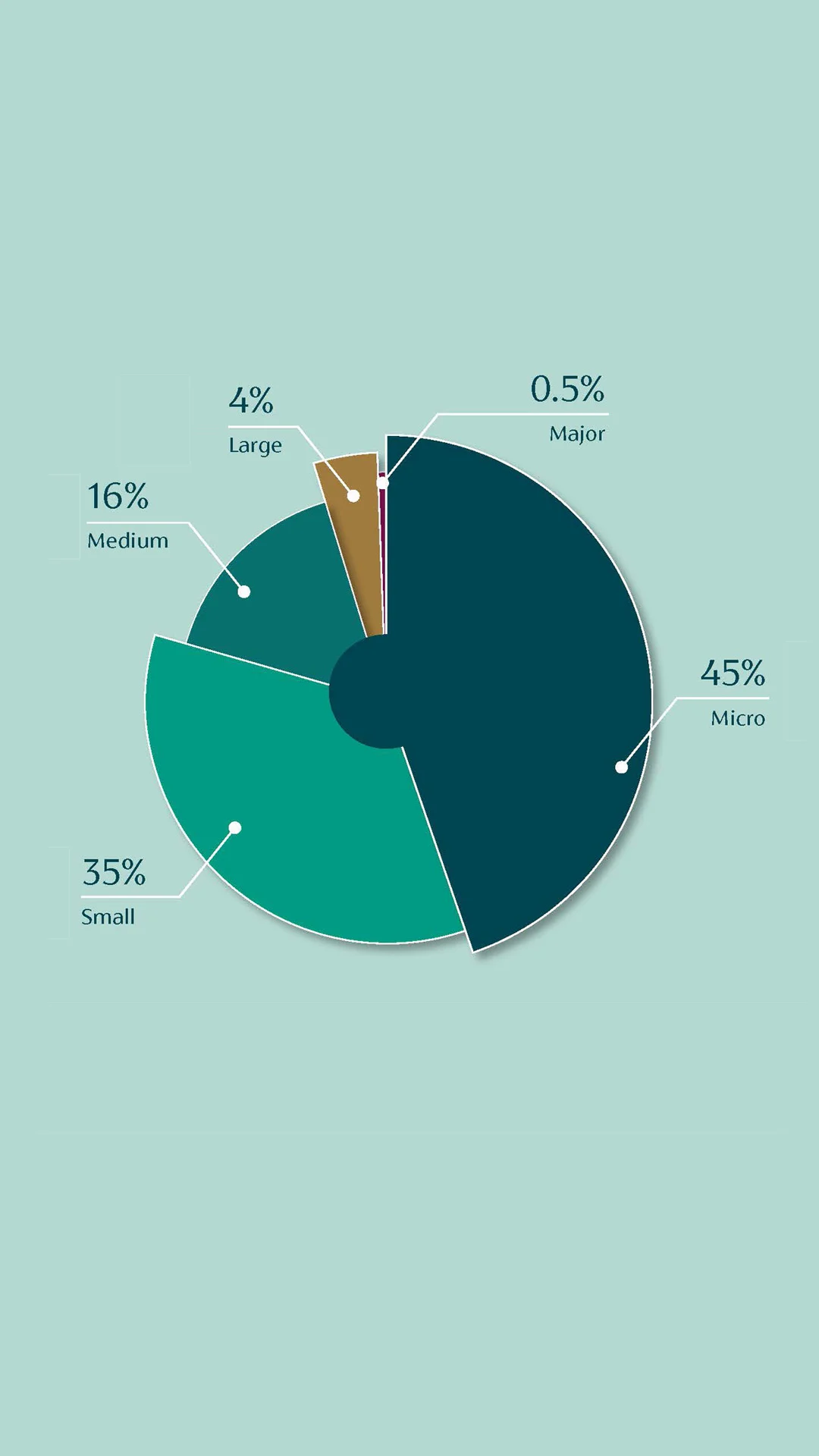 pie chart